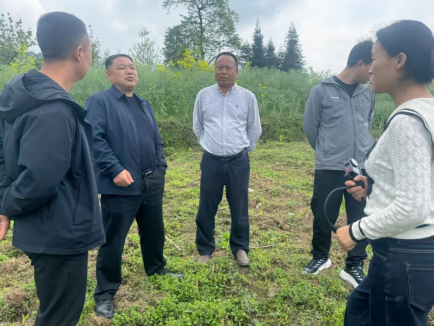 国家技术转移西南中心川南分中心