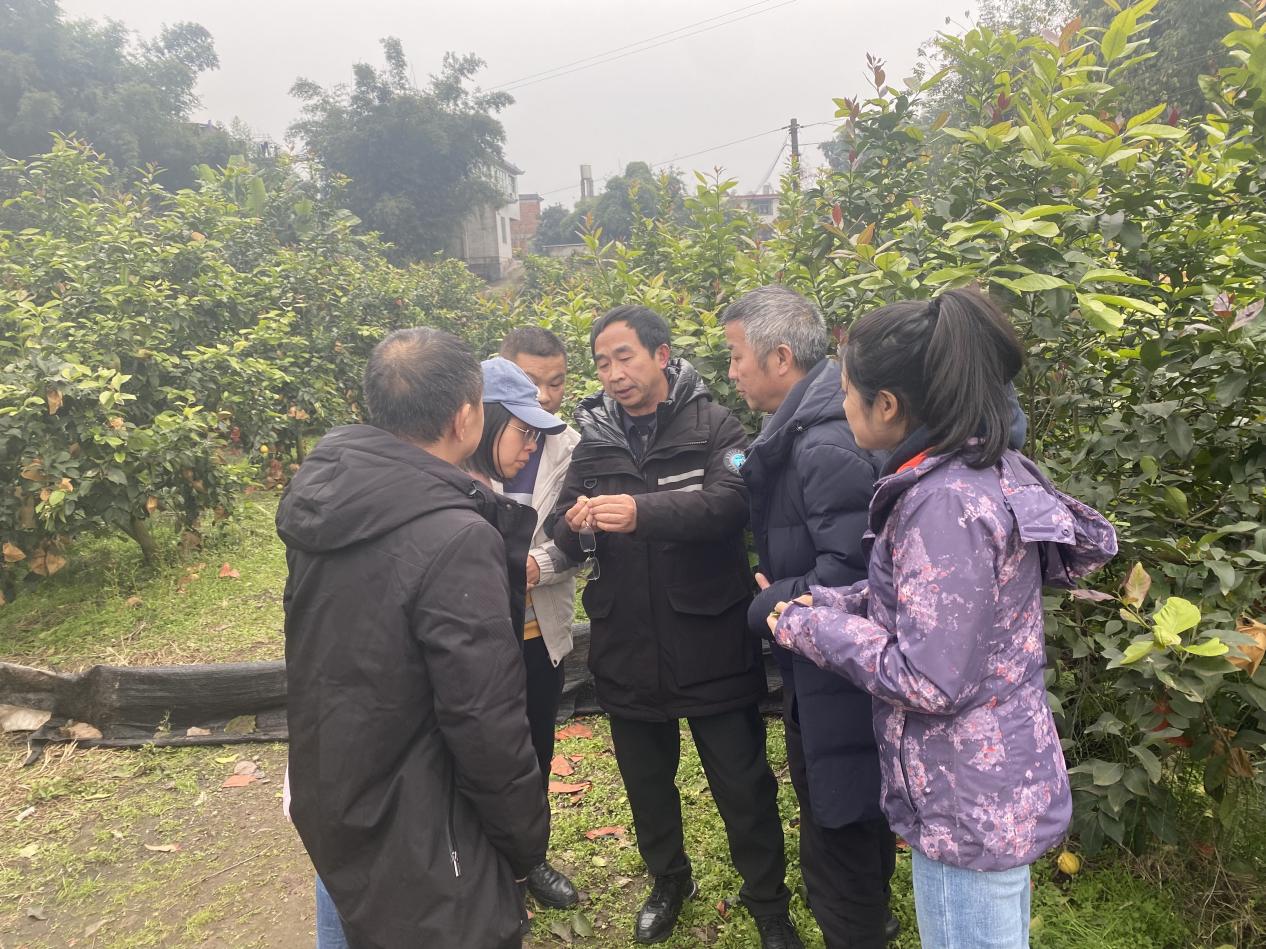 W020241227546425806720.jpg W020241227546425806720.jpg