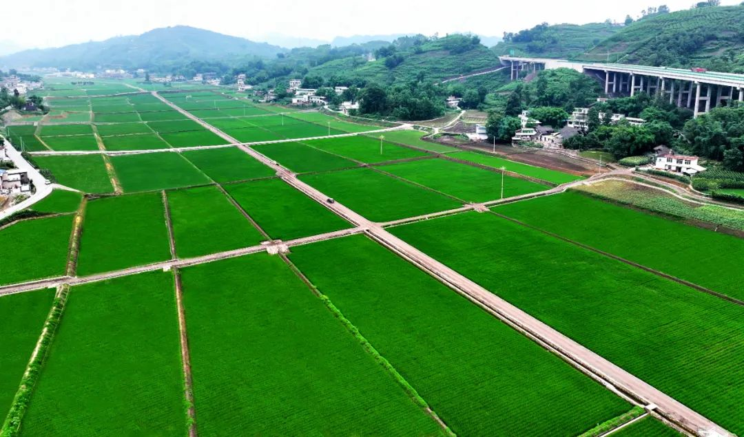 国家技术转移西南中心川南分中心