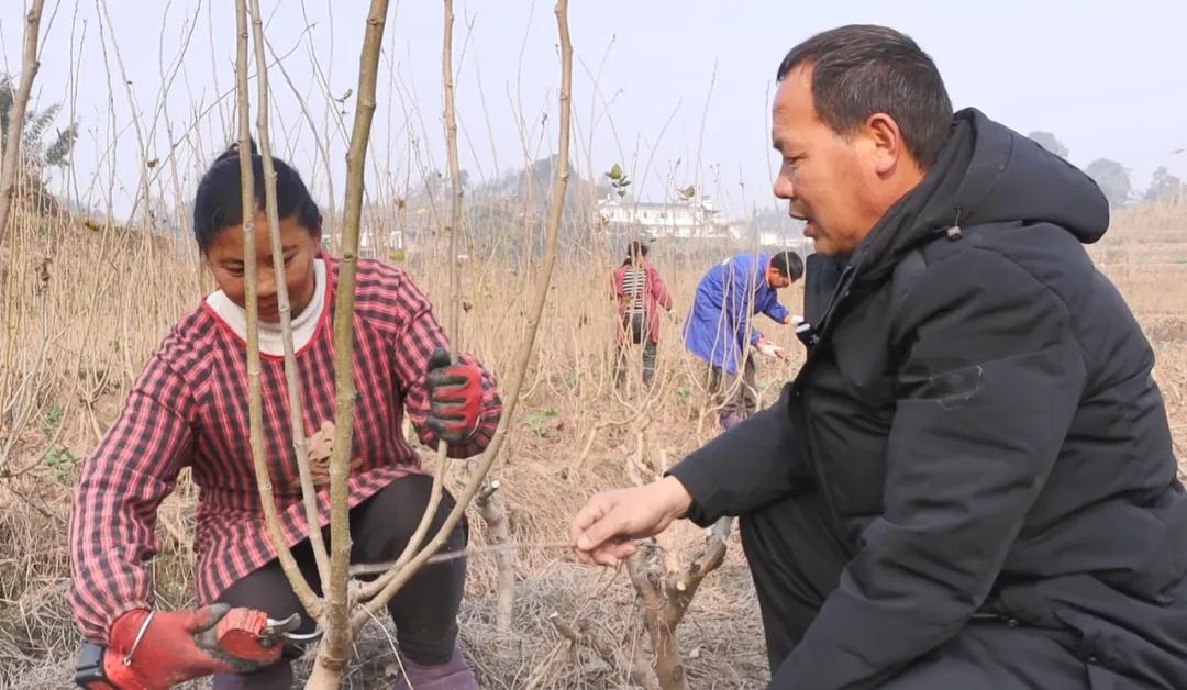 国家技术转移西南中心川南分中心