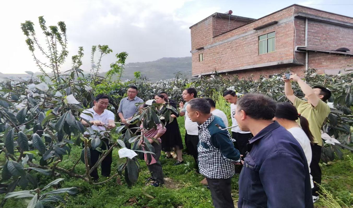 W020250417536599212409_ORIGIN.jpg W020250417536599212409_ORIGIN.jpg