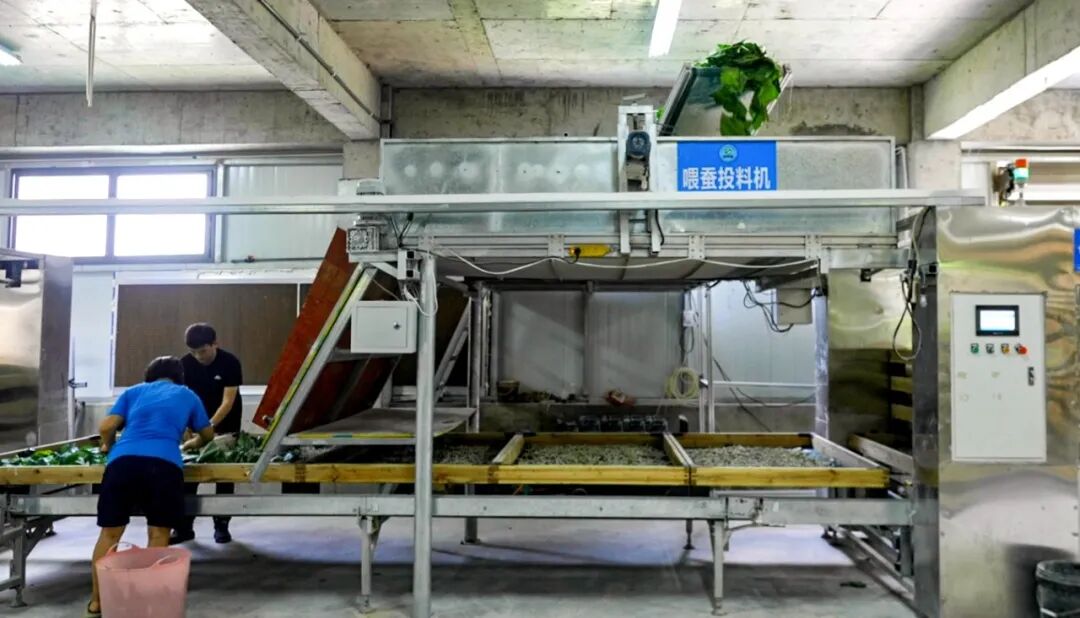 W020250904599749248530.jpg W020250904599749248530.jpg