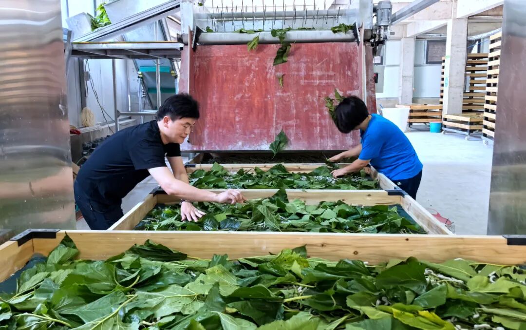 W020250904599749408317.jpg W020250904599749408317.jpg