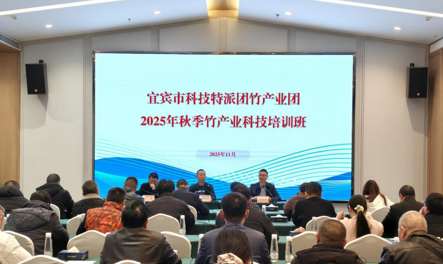 国家技术转移西南中心川南分中心