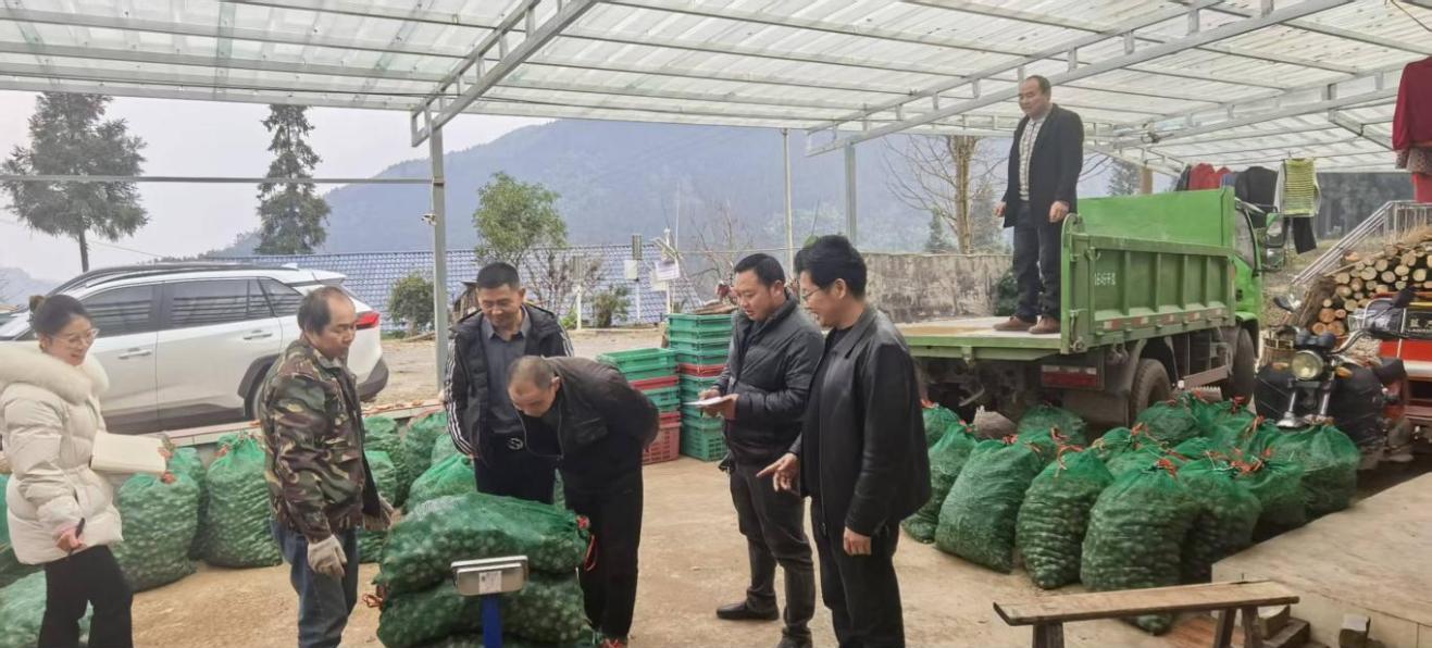 国家技术转移西南中心川南分中心