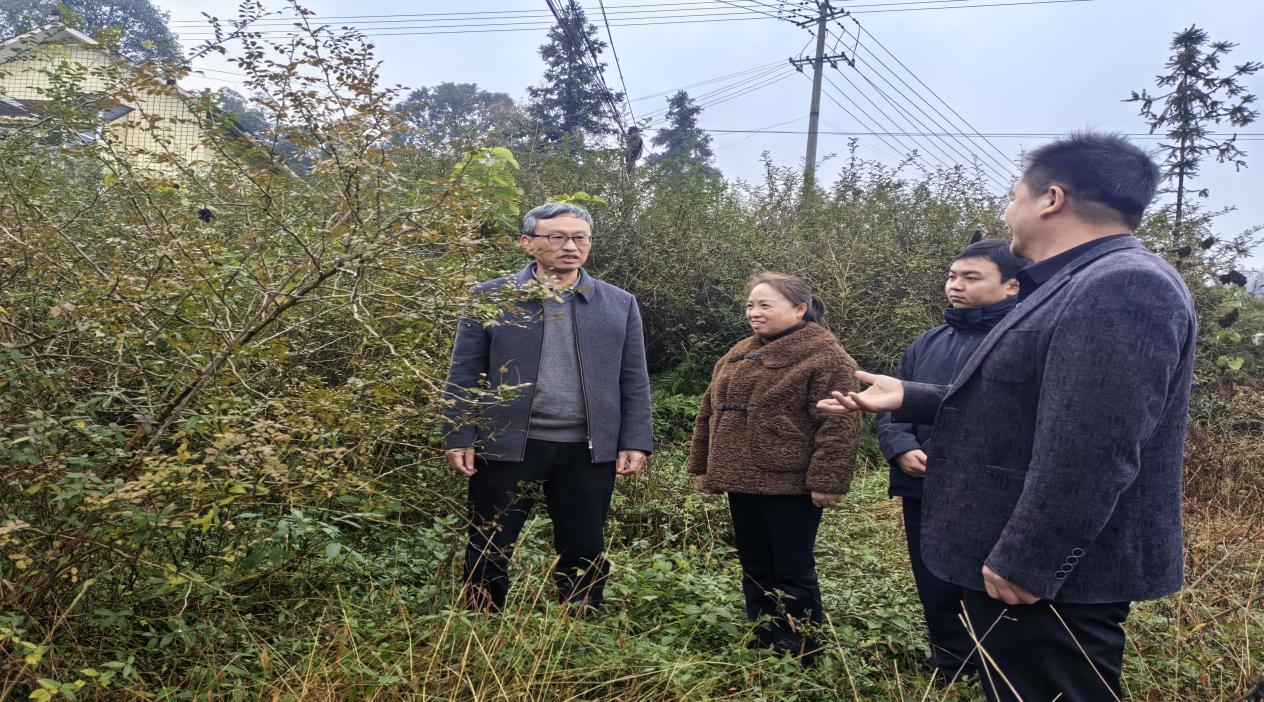 W020251224345482487761_ORIGIN.jpg W020251224345482487761_ORIGIN.jpg