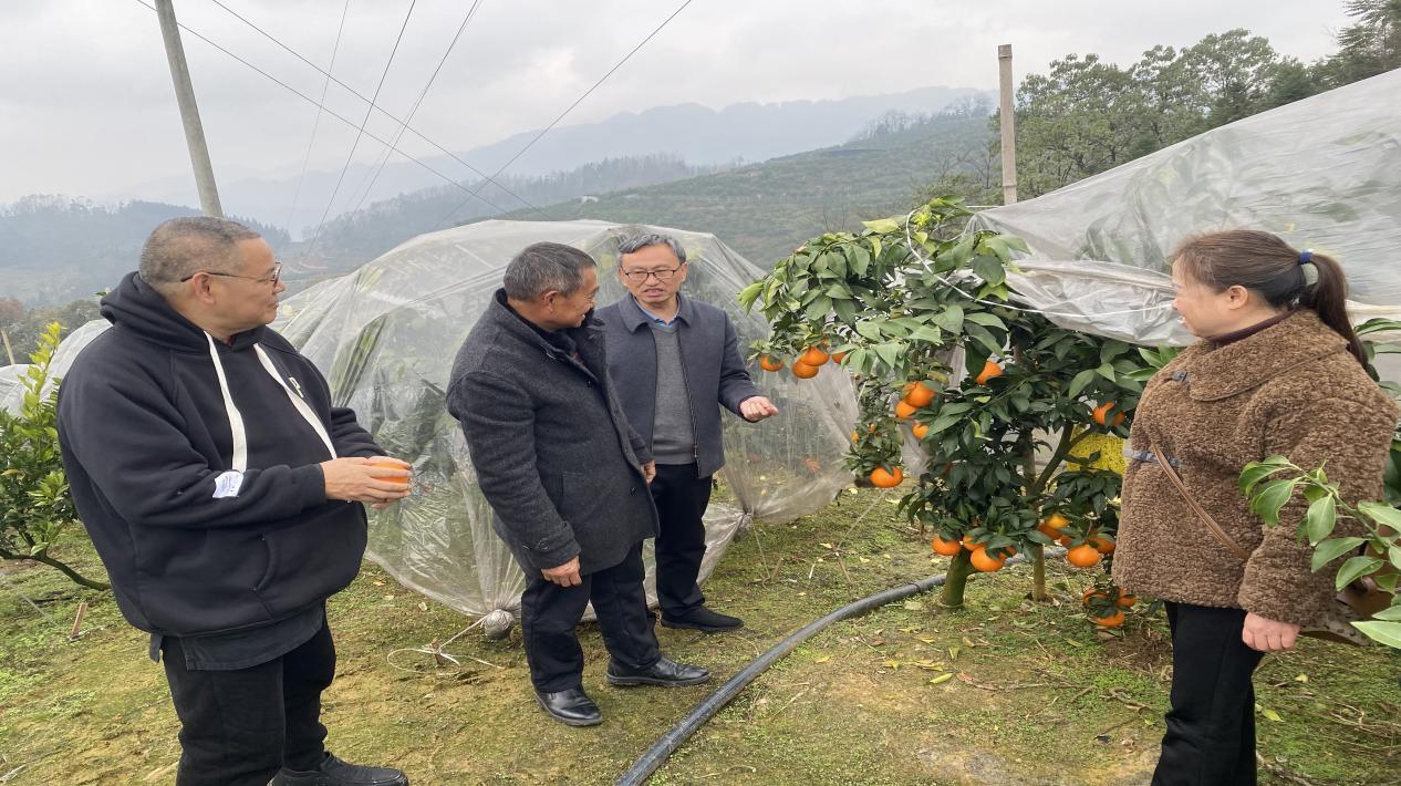 W020251224345482585671_ORIGIN.jpg W020251224345482585671_ORIGIN.jpg