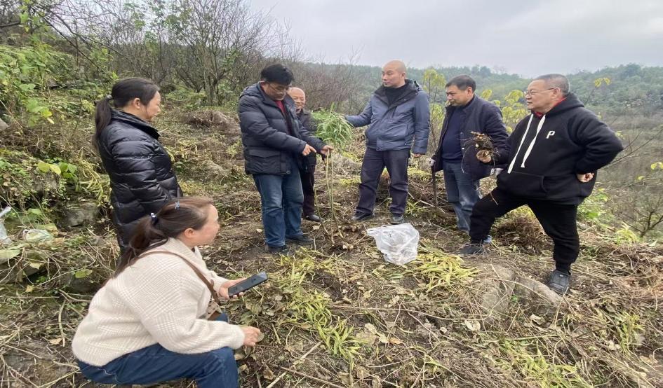 国家技术转移西南中心川南分中心